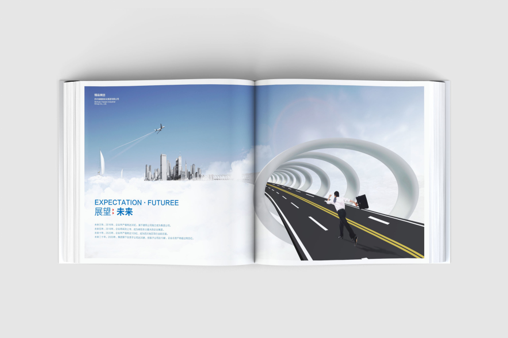 兴化市画册设计